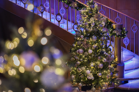 Fingal Hotel by null