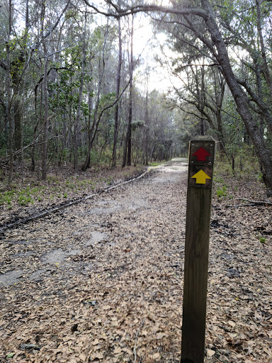 Johns Island County Park - Mullet Hall Gallery - United States