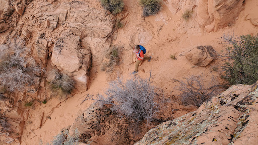 Sand Cove Trailhead - Thumbnail