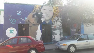 Photos of Cl&iacute;nica Veterinaria Clavero