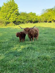 Photo n°18 de Ferme des Petits Tresseaux à Averdon (Ferme porcine)