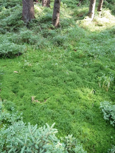 Photos of V Podol&aacute;nk&aacute;ch