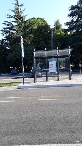 Mogliano Cimitero