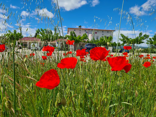 Association Culturelle Turque de Montélimar - Thumbnail