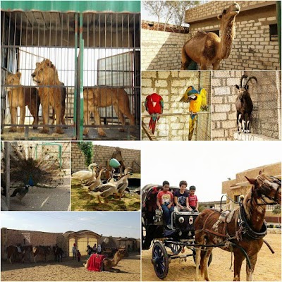 Photos of القاهره بارك - القاهرة