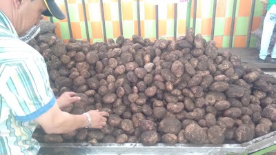 Photos of La Plaza Campesina
