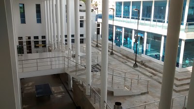 university