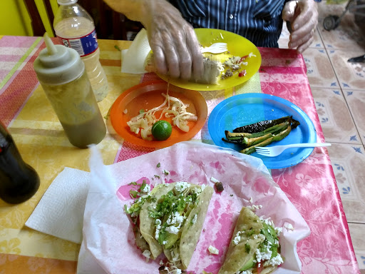 Iguana restaurant
