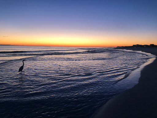 Grayton Beach State Park Campground - Thumbnail