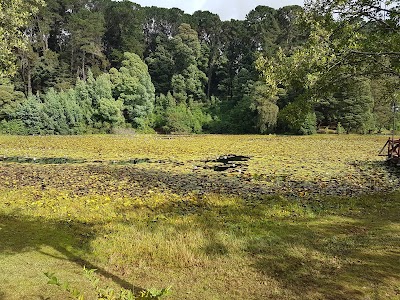 Photos of Laguna de Lotos