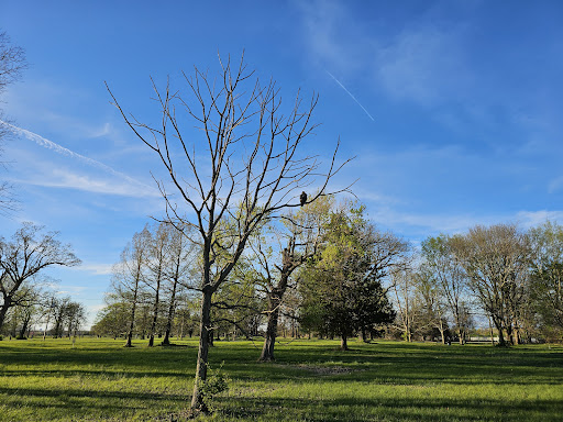 Creve Coeur Lake Parking - Thumbnail