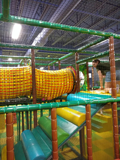 Fireflies Fun Zone - Visual