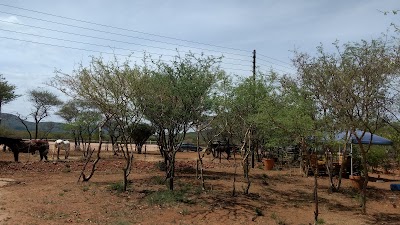 Photos of Notwane Esquarine Centre