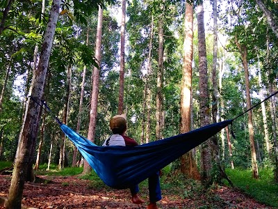 Photos of Taman Wisata Alam Sorong