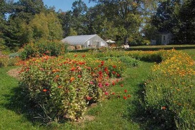 Bee Fields Farm