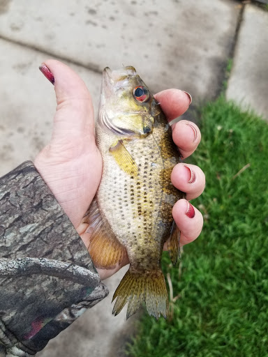 Suamico Boat Landing - Thumbnail