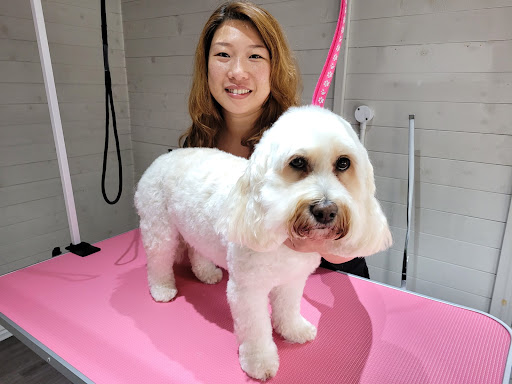 Woof Woof Spa & Grooming