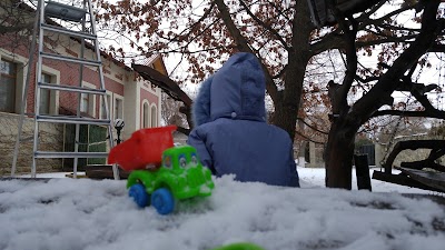 Photos of Beciul Vechi