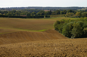 Photo n°25 de Camping d'Artagnan à Margouët-Meymes (Terrain de camping)