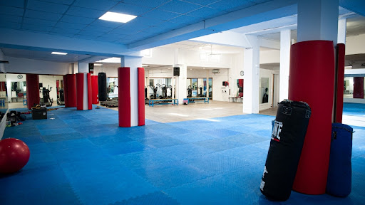 My Olimpia Palestra Latina