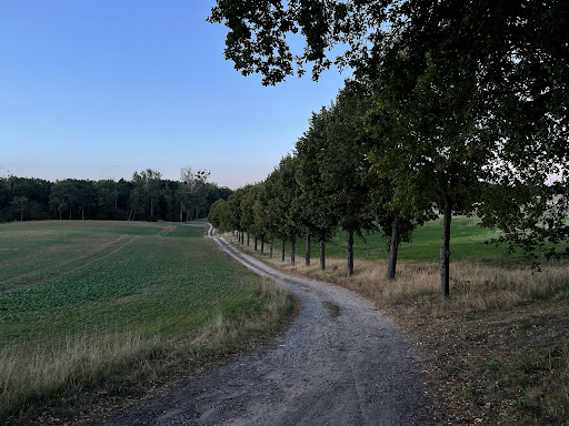 Schwarzer Tanger - Visual