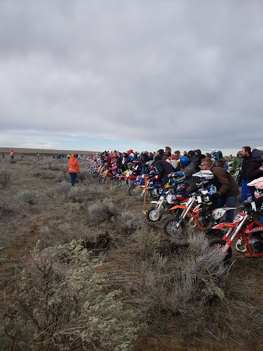 Desert 100 - Visual