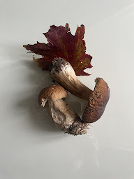 Photo n°98 de A Casaluna à Paris (Restaurant)