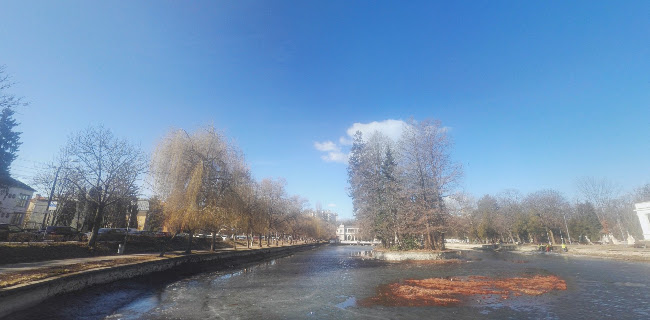 https://cluj.com/articole/parcul-central-simion-barnutiu/