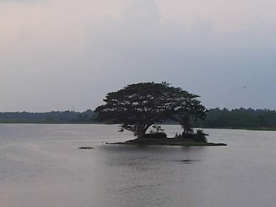 Photos of Mujahid Lanka Travels