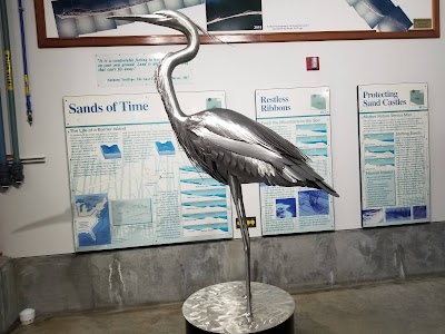 The Estuarium at Dauphin Island Sea Lab