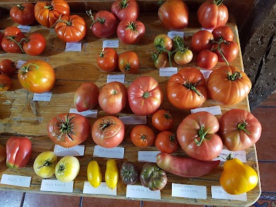 Photos of La Botica