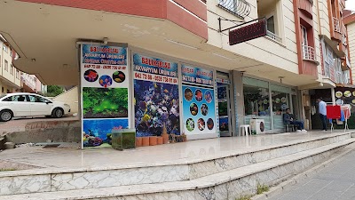 Ansar production house - Aquarium Store