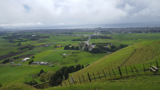 Papamoa Hills Cultural Heritage Regional Park