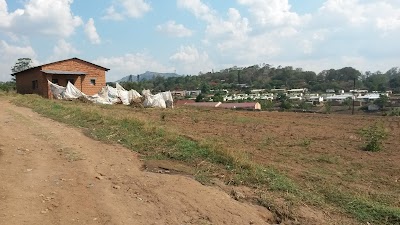 Photos of Municipal Market