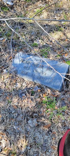 Fairbanks Cemetery - Thumbnail