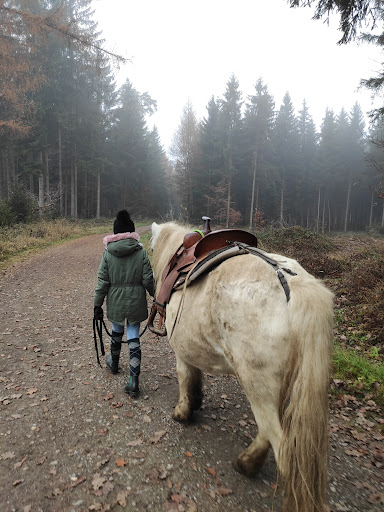 Ferien- und Ponyhof Eberhart - Thumbnail