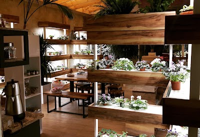 Photos of Pegah Flower Cafe