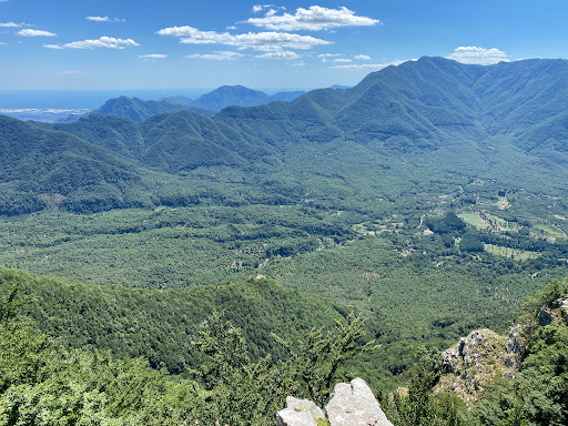 Ripa Della Falconara