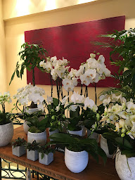 Photo n°30 de Eden Flor à Vanves (Fleuriste)