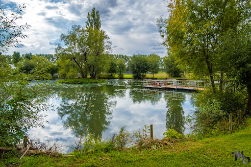 Bürgerpark Merxleben - Visual