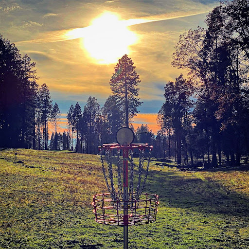 South Pines Disc Golf Course - Thumbnail
