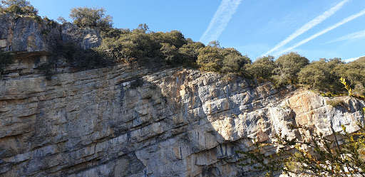 Hoya La Cueva - Thumbnail