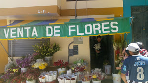 Floreria EpiFlor 6