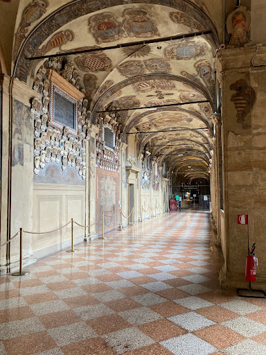 Teatro Anatomico - Visual