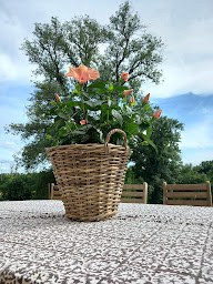 Photo n°2 de Chateau de la Renaudie à St Privat en Périgord (Hôtel)