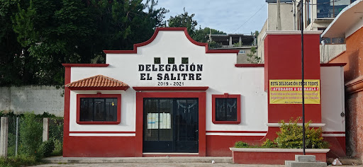 Delegación El Salitre