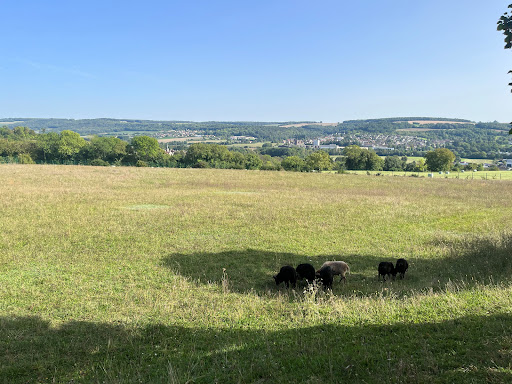 Photo de Résidence Les Millésimes - emeis à Chierry (02400)