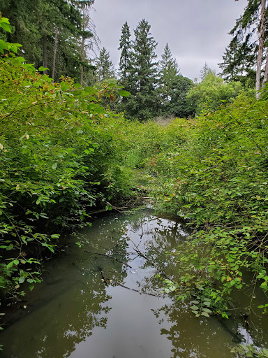 Brookhaven Park - Visual
