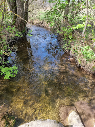 Mindelsee Runde zum Wild- und Freizeitpark Allensbach und zurück - Impressionen - Thumbnail