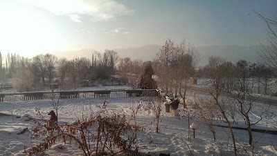 Photos of Motel Sliv